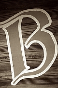 Wall_Art_Alphabet_Photography_Art_ 282